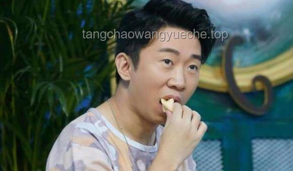 李晟浪姐意难平：综艺挑战与个人成长的深度剖析